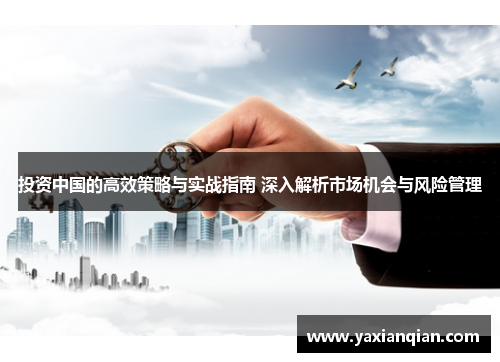 投资中国的高效策略与实战指南 深入解析市场机会与风险管理